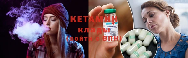 сатива Новозыбков