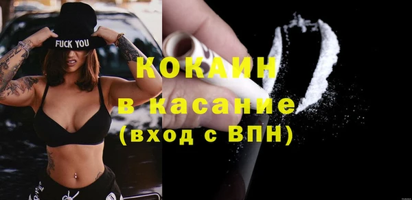 сатива Новозыбков