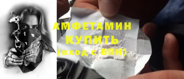 сатива Новозыбков