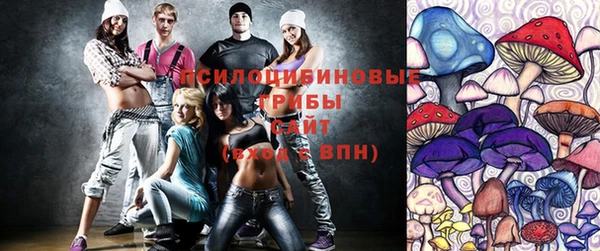 сатива Новозыбков