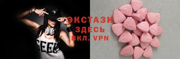 сатива Новозыбков