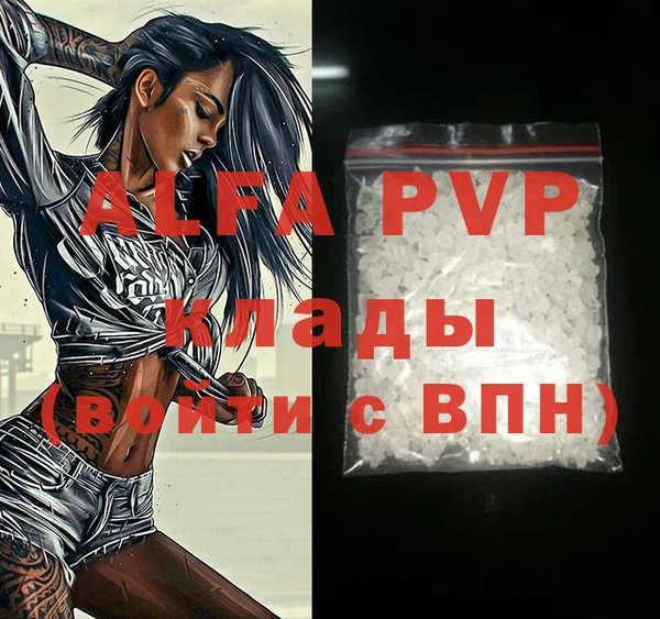 сатива Новозыбков