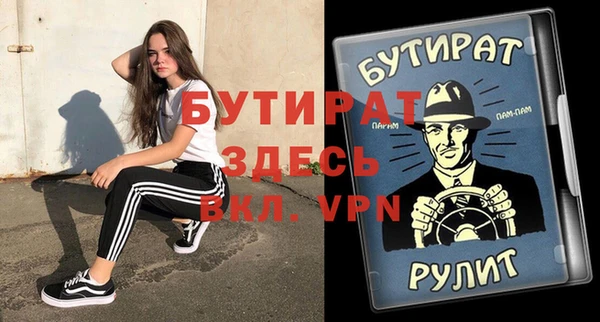 сатива Новозыбков