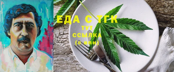 сатива Новозыбков