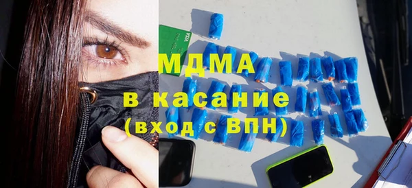 сатива Новозыбков