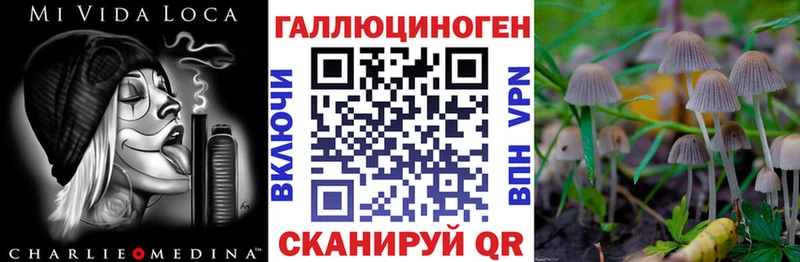 Галлюциногенные грибы Cubensis  Купить где  Реж 